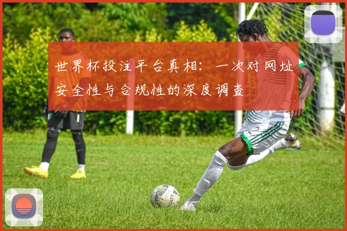 世界杯投注平台真相：一次对网址安全性与合规性的深度调查