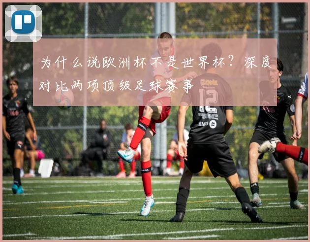 为什么说欧洲杯不是世界杯？深度对比两项顶级足球赛事